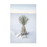 Trademark Fine Art 'Yucca in White Sands National Monument' Canvas Art by Alan Majchrowicz 12x19