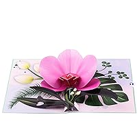 Pop Up Card, Greeting Card, Orchid Flower For Mothers Days, Fathers Day, Anniversary Card