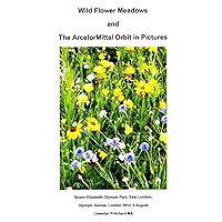 Wild Flower Meadows and The ArcelorMittal Orbit in Pictures (Photo Albums) (Japanese Edition) Wild Flower Meadows and The ArcelorMittal Orbit in Pictures (Photo Albums) (Japanese Edition) Paperback Kindle
