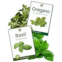 Medicinal and Tea Herb Seeds Variety Pack - Great for Planting Indoors, Outdoors and Hydroponically - USA Grown, Heirloom, Non GMO Herbal Garden Seeds, Including Basil and Oregano
