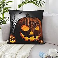 Throw Pillow Covers 22