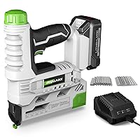 WorkPro 3.6V Power Electric Cordless 2-in-1 Staple and Nail Gun, 2.0Ah Battery Powered Stapler for Upholstery, Carpentry, Crafts, DIY, Including USB