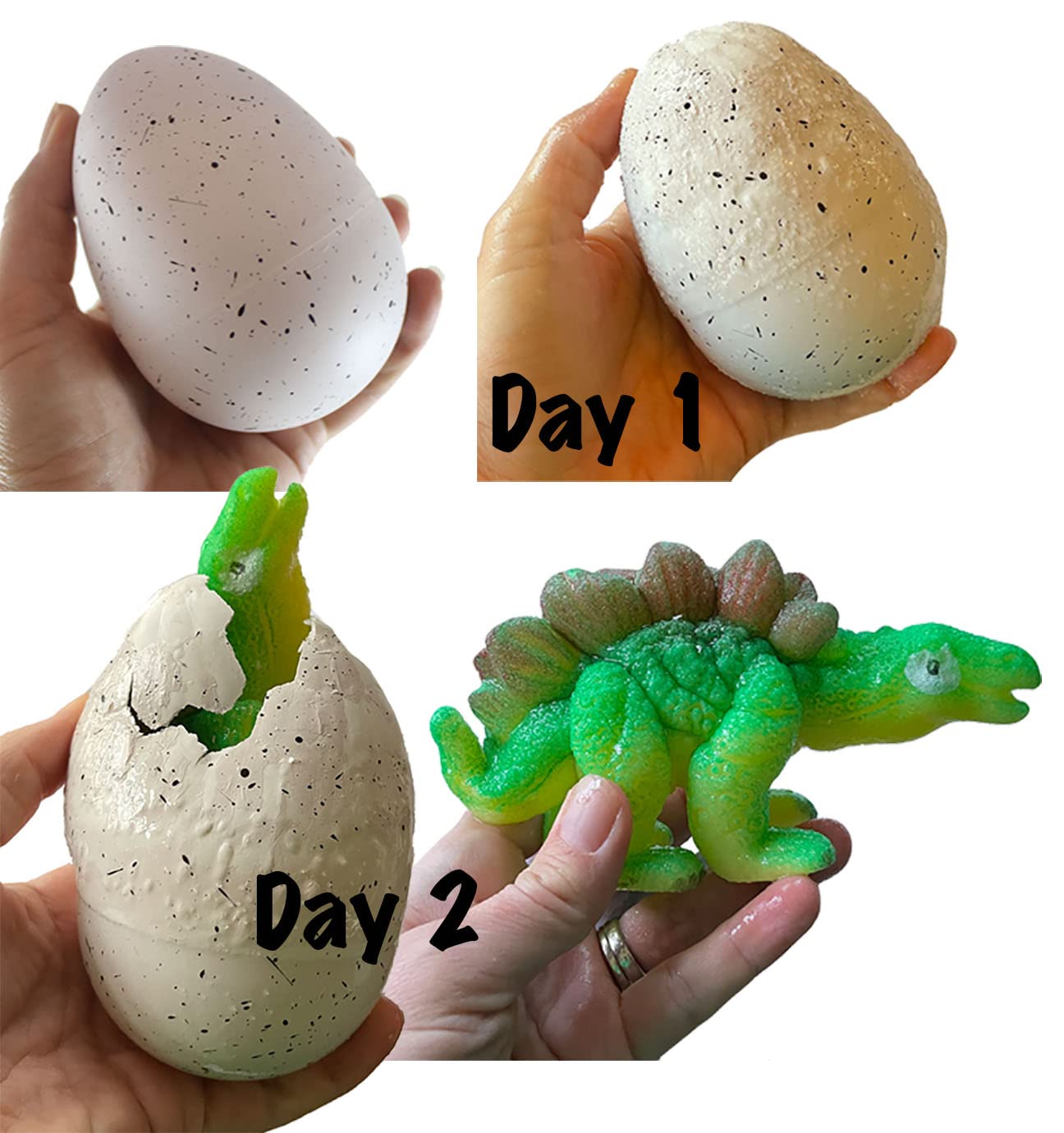 1 Jumbo Hatch a Dinosaur Animal Grow in Water - Add Water and it Grows up to 6.5