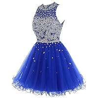 Tulle Sheer Neck Backless Crystals Short Prom Gowns Homecoming Dress for Women