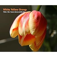 White Yellow Orange White: Think, Watch, Talk, Touch, Taste, Dance and be One