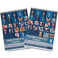 Blue Tree Publishing Female and Male Anatomy and Reproductive Flip Charts