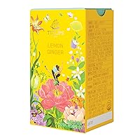 Ssanggye TICLIPS Lemon Ginger Tea 1.5g x 20TB Premium Blended Tea Delicate Taste Fruit Herb Blend Sweet Harmony Scent Aroma Flavor Herbal Delicacy Caffeine Free Easy to Carry & Open Tea Bag Daily Drink and Gift Made in Korea