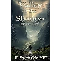 VALLEY OF THE SHADOW: A father's journey through grief and pain when his son chose not to live and what God taught him along the way