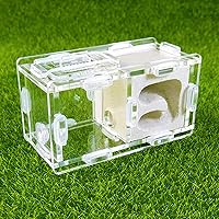 Small Ant Nest Farm Science Experiment Formicarium Insect Nest (White)