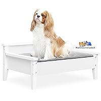 Wooden Dog Bed with Water-Resistant Mattress, Small to Medium Elevated Pet Bed with Calming Pet Mattress, Greenguard Gold Certified, Modern Dog Couch, Winston, White
