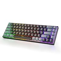 60% Percent Mechanical Gaming Keyboard, RGB Backlit 68 Keys Ultra-Compact Wired Keyboard with Detachable Type-C Cable, Full Anti-Ghost, Blue Switch Portable Mini Keyboard for Windows PC Mac Xbox Gamer