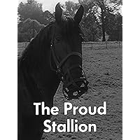 Proud Stallion, The