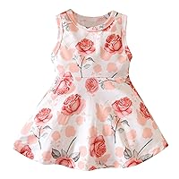 Toddler Kids Baby Girls Summer Casual Sleeveless Round Neck Floral Dress Girls Lace Dress Ballgown for