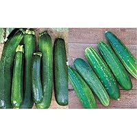 Black Beauty Zucchini Summer Squash Seeds 100 Seeds & Straight Eight Slicing Cucumber Seeds 200 Seeds