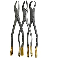Premium Dental Extracting Extraction Forceps #150#151#23- Apical Forceps, Cowhorn Forceps, Lower Molars, Atraumair-Premium Stainless Steel Reusable Dental Instruments (Extracting Fprcep 150+151+23)