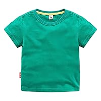 High Tops Boys Size 11 Fit Crewneck T Shirt | Organic Cotton Soft Multi Pack Short Sleeve Basic Toddlers and Kids Fruit Tops