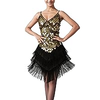 XJYIOEWT Womens Wedding Guest Dress Spring 2024,Latin Dance Competition Performance Clothes Bar Stage Performance Clothe