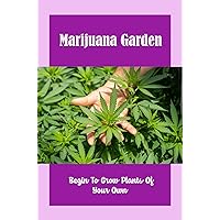 Marijuana Garden: Begin To Grow Plants Of Your Own