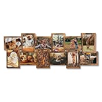 12 Opening Collage Picture Frames for Wall Decor, 4x6 Picture Frame Collage for Home Decoration Christmas Gifts, Collage Wall Hanging Photo Frames for 6 x 4 Photo, Gold