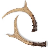 Tags America Deer Antler Decor - Set of 2 Polyresin Deer Antlers for Wedding & Home Decor, Realistic Design Deer Decor for Centerpieces, Table Top Decoration, Coffee Table Decor