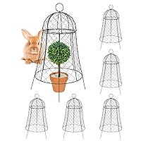 6 Pack Big Side Garden Chicken Wire Cloche 11.8''D x 22.8''H Black Metal Plant Protector and Cover Plant Cloche from Animals Windproof Indoor and Outdoor Use
