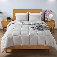 KASENTEX Winter Warmth Quilted Comforter Set Twin with 1 Pillow sham, Cozy Soft Seersucker Bedding Set Textured, Down Alternative Fill(Twin/Twin XL Set, Light Grey)