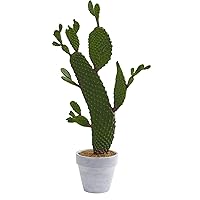Nearly Natural 27-in. Cactus Artificial Silk Plants, 6x11x27, Green