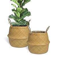 Set of 2 Woven Seagrass Basket with Handles and Liner for Plant Pot, Belly Basket, Storage Basket, Wicker Baskets, Basket for Plant Baskets Indoor, Natural Seagrass Basket, Size XL
