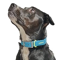Limited Edition, Designer Collection, Blue Dog Collar, Easy-Clean, All Weather Flex-Poly Strap with Metal, Durable, Dirt and Odor Resistant, Small