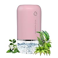 Portable Small Humidifie,Car humidifier Home Double spray 400ml Portable Humidifiers , Mini Humidifier, Cool Mist Portable Mini USB Humidifier for Car Bedroom Travel with Auto Shut-Off, 2