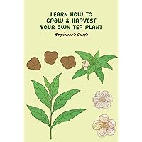 Learn How to Grow & Harvest your own Tea Plant : Beginner's Guide Learn How to Grow & Harvest your own Tea Plant : Beginner's Guide Kindle Paperback