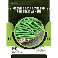Growing bush beans and pole beans at home: Guide and overview