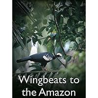 Wingbeats to the Amazon