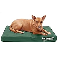 Furhaven Water-Resistant Orthopedic Dog Bed for Medium/Small Dogs w/ Removable Washable Cover, For Dogs Up to 35 lbs - Indoor/Outdoor Logo Print Oxford Polycanvas Mattress - Forest, Medium