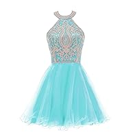 Short Cocktail Party Dresses for Women Tulle Gold Appliques Prom Gowns Turquoise