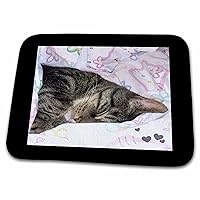 3dRose Cute Sleeping Black Brown Tabby Cat Photo - Dish Drying Mats (ddm-242445-1)