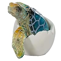 Adorable Baby Sea Turtle Hatching from Egg 3 Inch Tall Figurine (Blue)