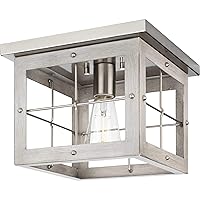 Progress Lighting P350197-009 Transitional One Light Flush Mount from Hedgerow Collection in Pewter, Nickel, Silver Finish,