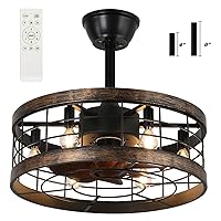 Caged Ceiling Fan with Lights Remote Control, 18.5