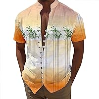Beach Wear for Men Big and Tall Printed Short Sleeve Casual Button Down Hawaiian Tropical Shirt Holiday Beach Shirts