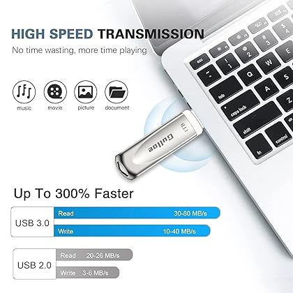Gulloe Flash Drive 1TB, Photo Stick for Phone External Storage, USB 3.0 Memory Stick for Phone Photo Storage Compatible with Phone and PC, Take More Photos and Videos for Phone (Silver)