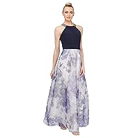 S.L. Fashions Women's Floral Print Skirt Dress 9141200