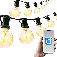 48ft. 25-Socket Smart LED String Outdoor Lights, Smart Life App,Works with Alexa,Dimmable Outdoor Patio Accessories with Timer,G40 E17,30W,2700K,Black,SMG40STRING15