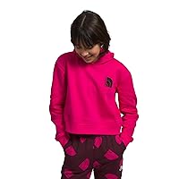 THE NORTH FACE Girls' Camp Fleece Pullover Hoodie Sweatshirt, Mr. Pink, Small