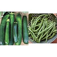 Black Beauty Zucchini 100 Seeds and Blue Lake 274 Bush Bean 2 oz Seeds Bundle