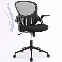 Home Office Ergonomic Mesh Computer Desk High Back Swivel Task Executive Chair with Soft Armrests Padded Lumbar Support and Adjustable Rotatable Headrest, Black