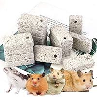 20 Pcs Small Animal Pet Lava Bites Chews Toy Teeth Grinding Block Mineral Calcium Stone for Hamsters Parrot Chinchillas Rabbits