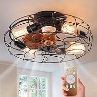 20 In Caged Ceiling Fan with Light, Low Profile Ceiling Fan Lights with Remote, 6 Speeds Adjustable Black Bladeless Industrial Flush Mount Ceiling Fan for Kitchen Bedroom