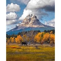 Wooden Jigsaw Puzzle 3000 Pieces-Colorado Mountains-Fun Creative Colorful Stress Relief Classic Puzzle