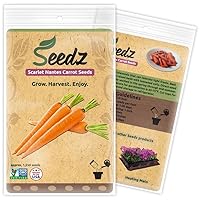 Organic Carrot Seeds, APPR. 1,550, Carrot Planting Seeds, Heirloom Vegetable Seeds, Certified Organic, Non GMO, Non Hybrid, USA